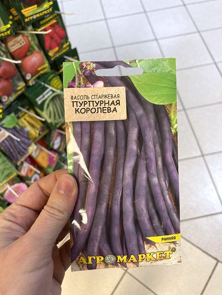 фасоль спаржевая Пурпурная королева (фиолетовая)